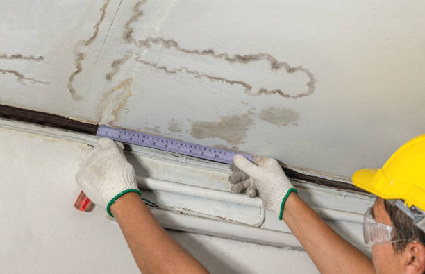 Reliable Burst Pipe Cleanup contractor in Cedar Hill, MO by Local Water Damage Repair